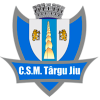 ACS特尔古日乌队徽